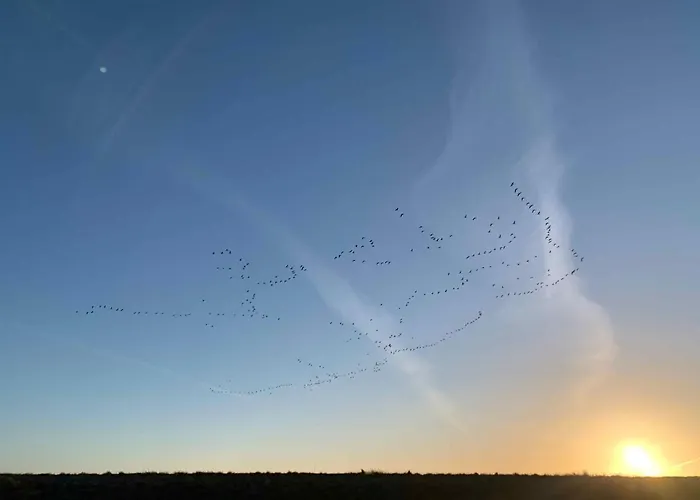 In The First Row To The Water Appartamento